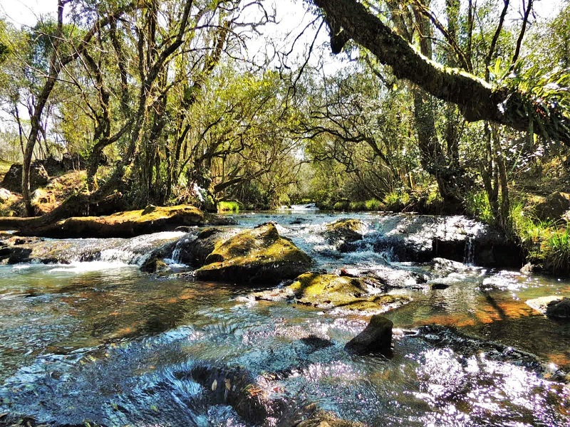 La Pacha Agroturismo