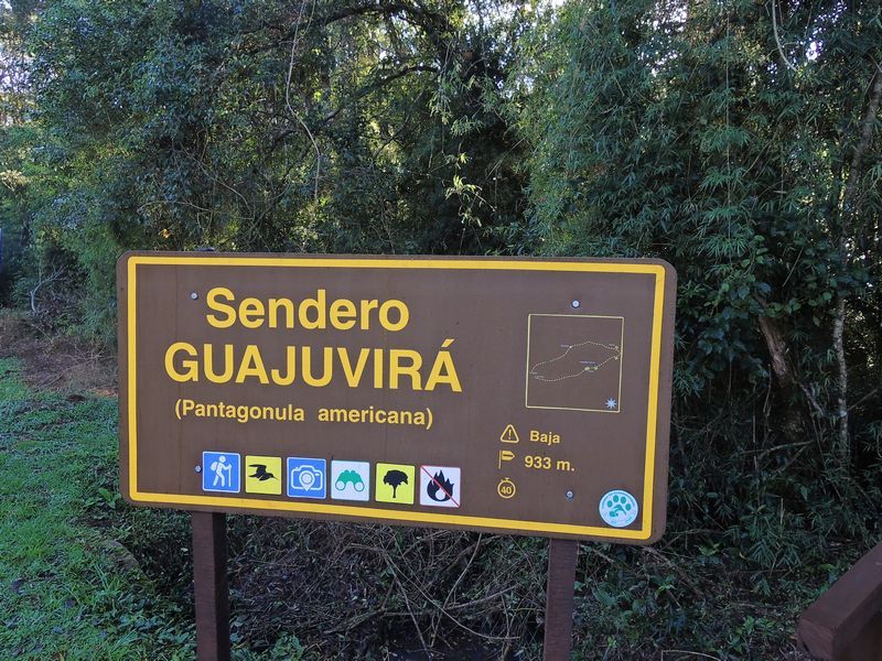 Sendero Guayuvirá